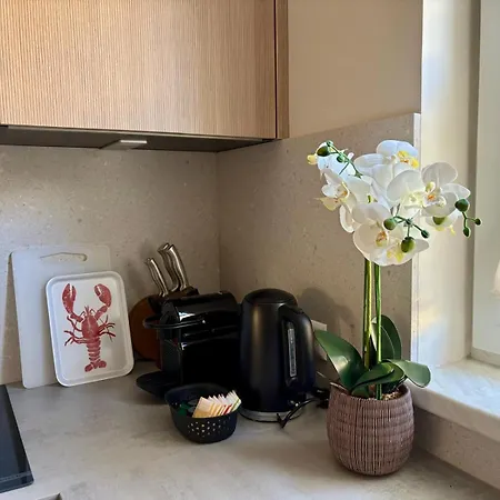 Fresh Upstairs & Free Parking Appartement Graz